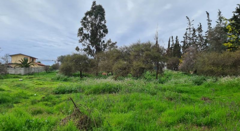 SITIO VENDO SAN ENRIQUE VILL A ALEMANA